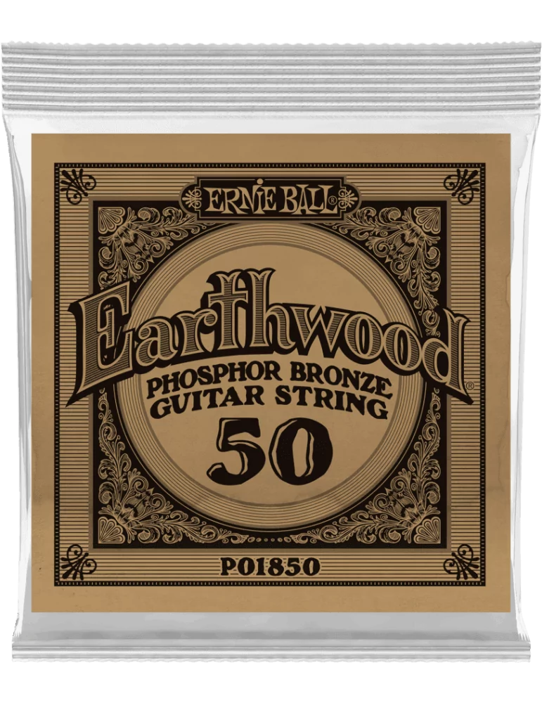 ERNIE BALL 1850 | MusicGoodDeal