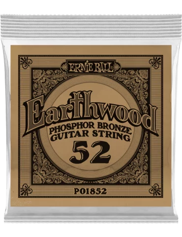 ERNIE BALL 1852 | MusicGoodDeal
