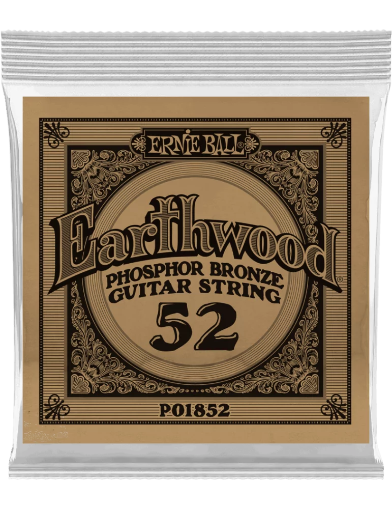 ERNIE BALL 1852 | MusicGoodDeal