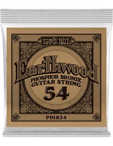 ERNIE BALL 1854 | MusicGoodDeal