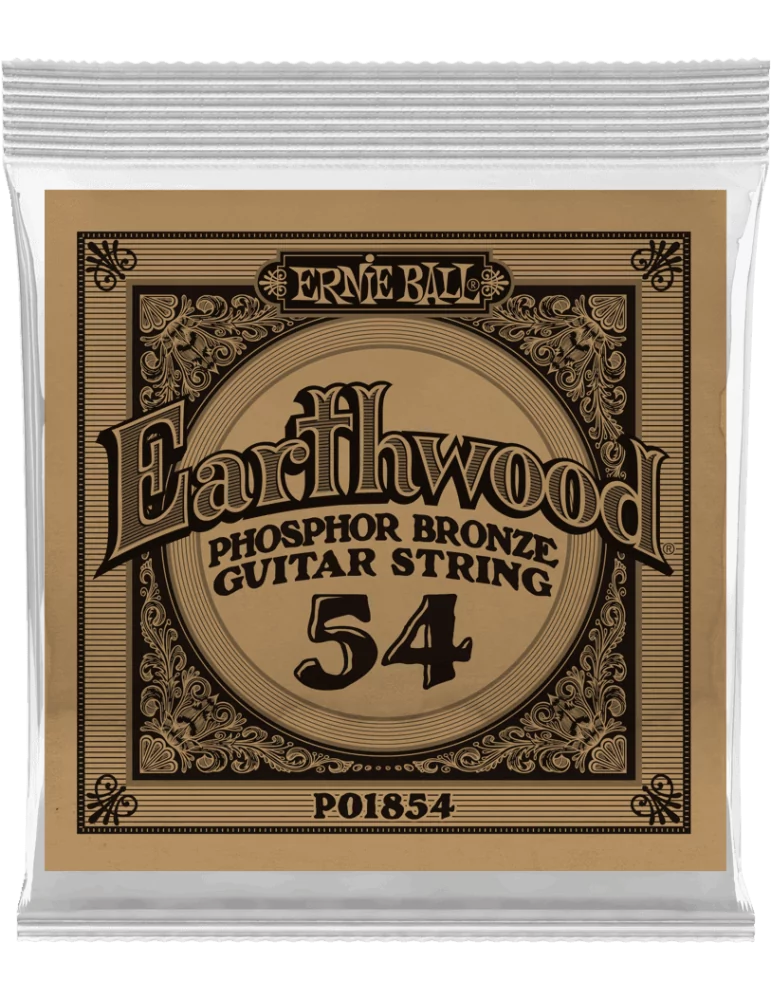 ERNIE BALL 1854 | MusicGoodDeal
