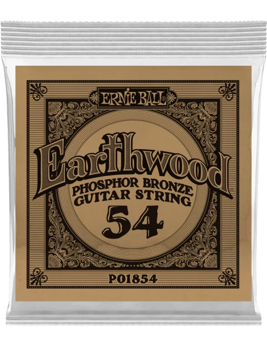 ERNIE BALL 1854 | MusicGoodDeal