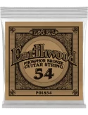 ERNIE BALL 1854 | MusicGoodDeal