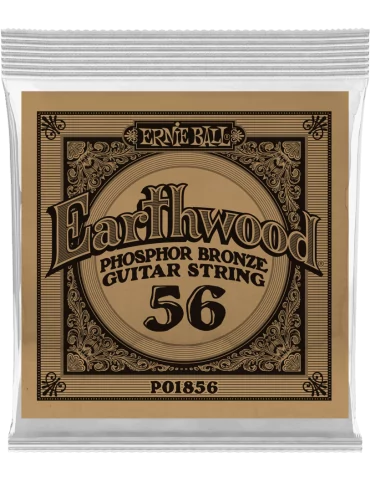ERNIE BALL 1856 | MusicGoodDeal