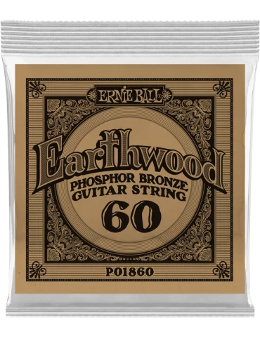 ERNIE BALL 1860 | MusicGoodDeal
