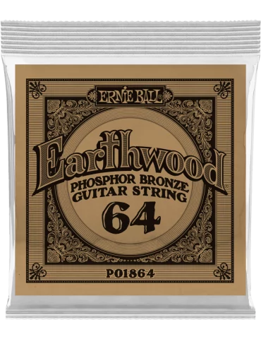 ERNIE BALL 1864 | MusicGoodDeal