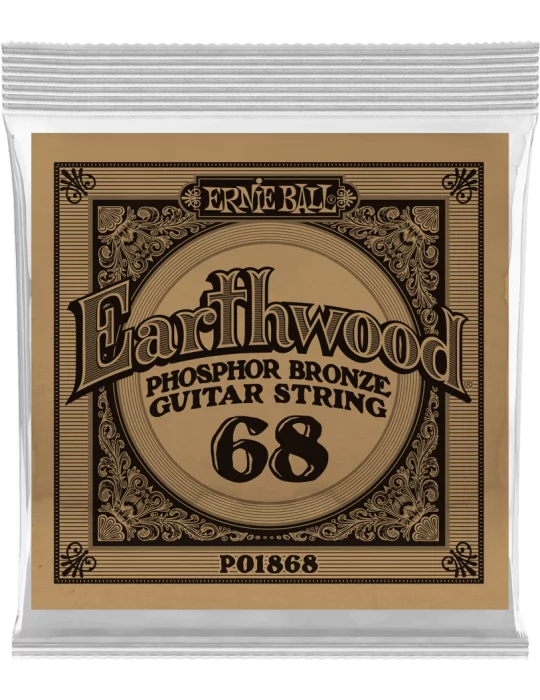ERNIE BALL 1868 | MusicGoodDeal