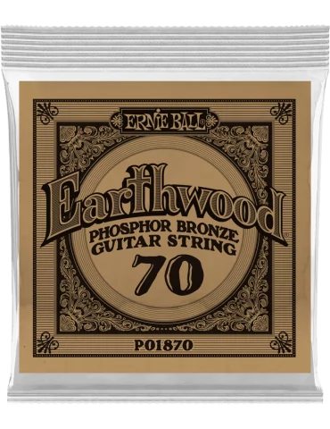 ERNIE BALL 1870 | MusicGoodDeal
