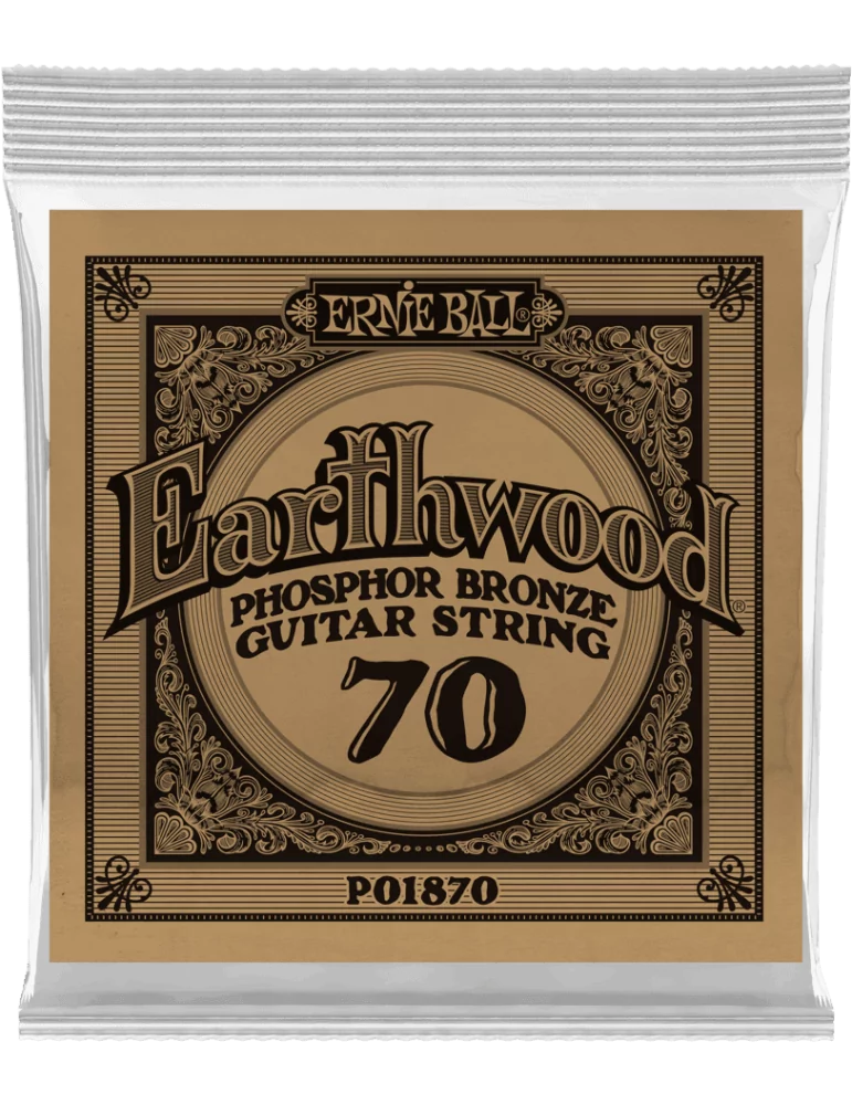 ERNIE BALL 1870 | MusicGoodDeal