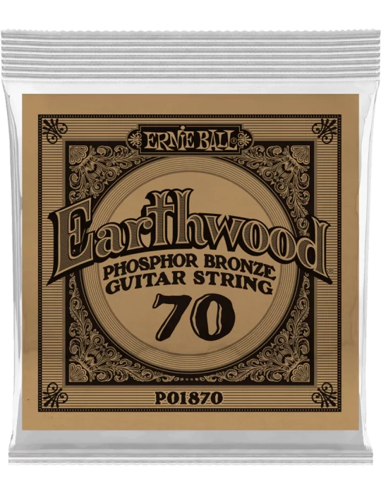 ERNIE BALL 1870 | MusicGoodDeal