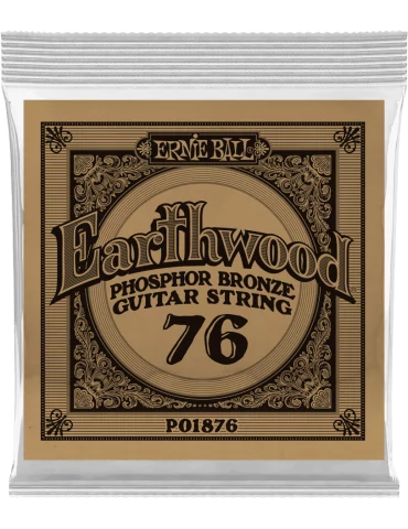 ERNIE BALL 1876 | MusicGoodDeal