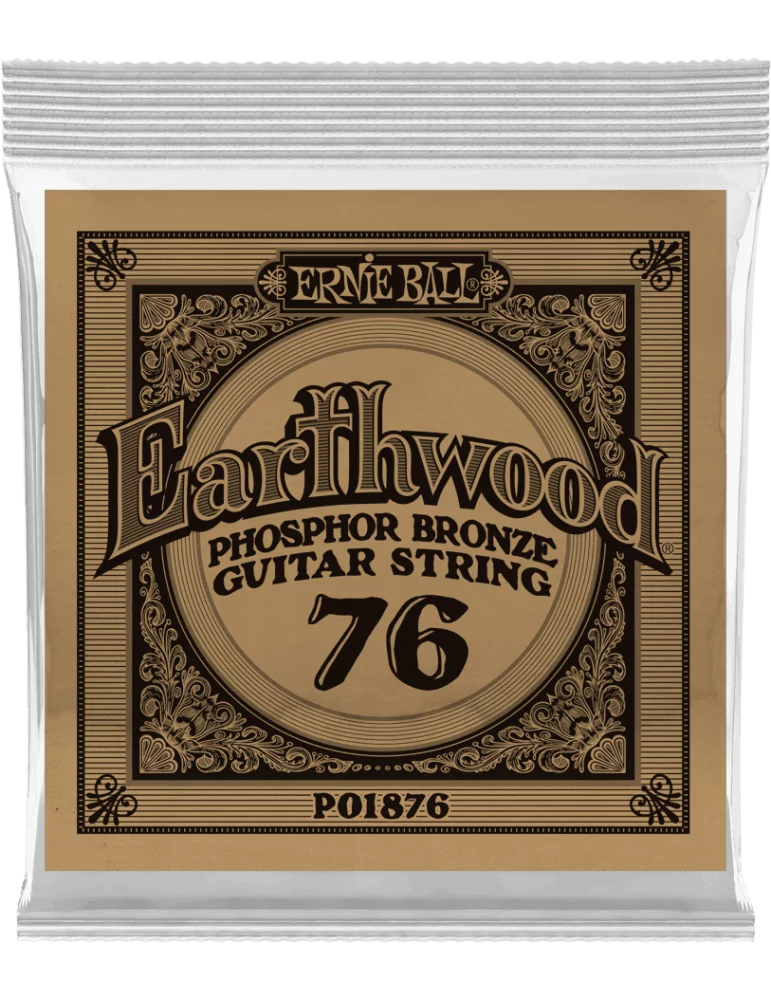 ERNIE BALL 1876 | MusicGoodDeal