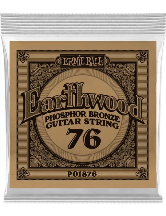 ERNIE BALL 1876 | MusicGoodDeal