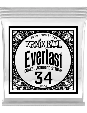 ERNIE BALL 10334 | MusicGoodDeal