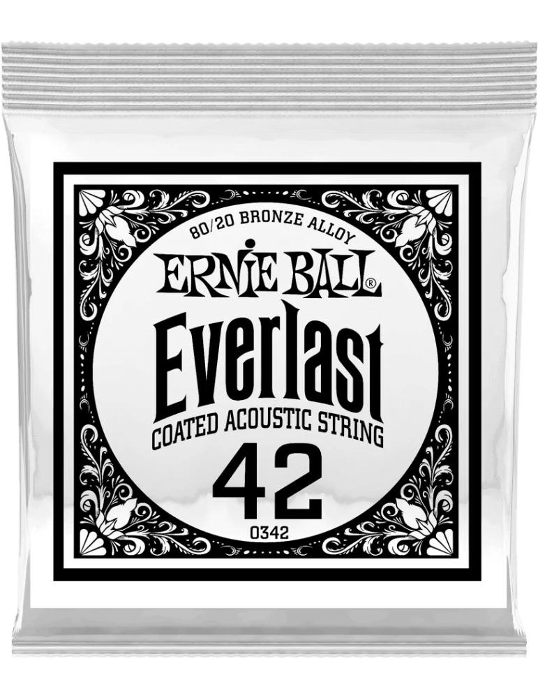 ERNIE BALL 10342 | MusicGoodDeal