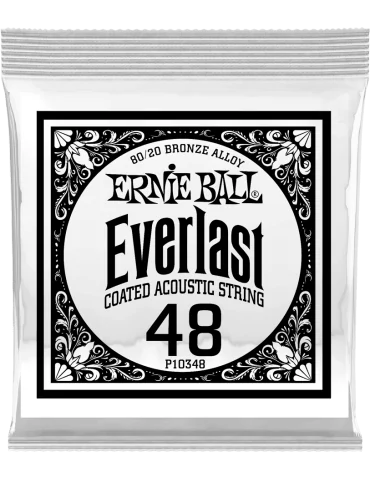 ERNIE BALL 10348 | MusicGoodDeal