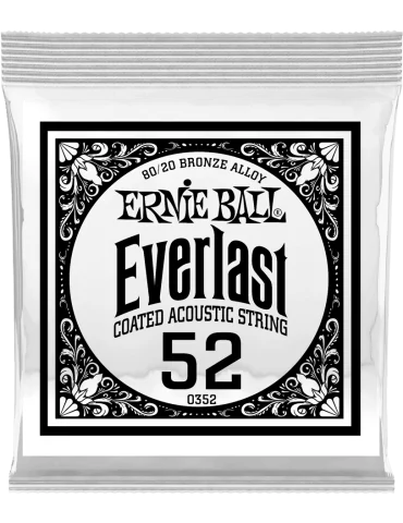 ERNIE BALL 10352 | MusicGoodDeal