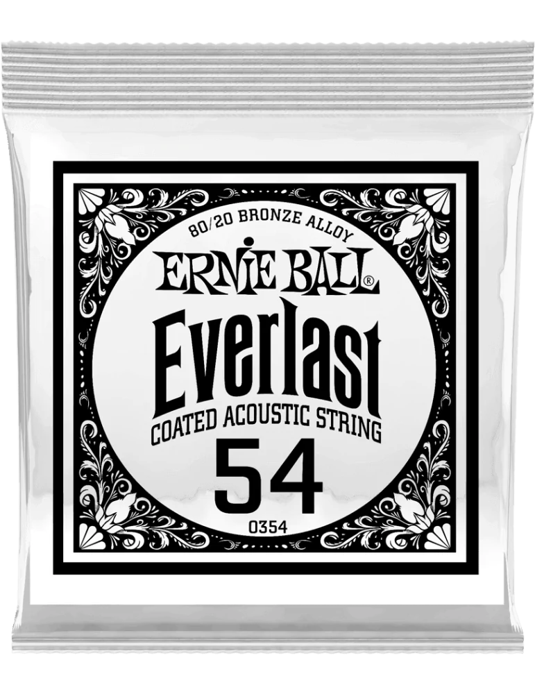 ERNIE BALL 10354 | MusicGoodDeal