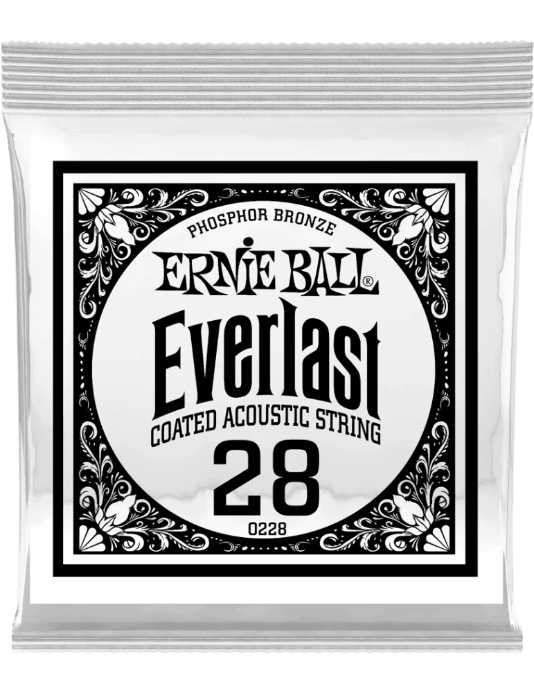ERNIE BALL 10228 | MusicGoodDeal