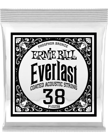 ERNIE BALL 10238 | MusicGoodDeal