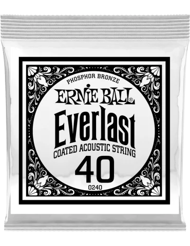 ERNIE BALL 10240 | MusicGoodDeal