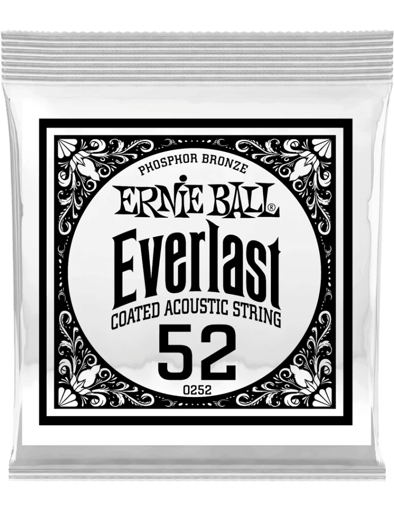ERNIE BALL 10252 | MusicGoodDeal