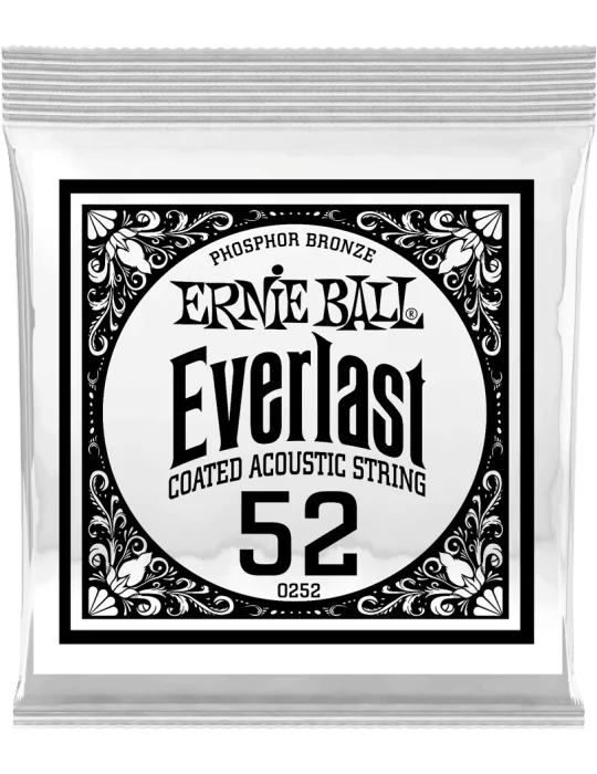 ERNIE BALL 10252 | MusicGoodDeal