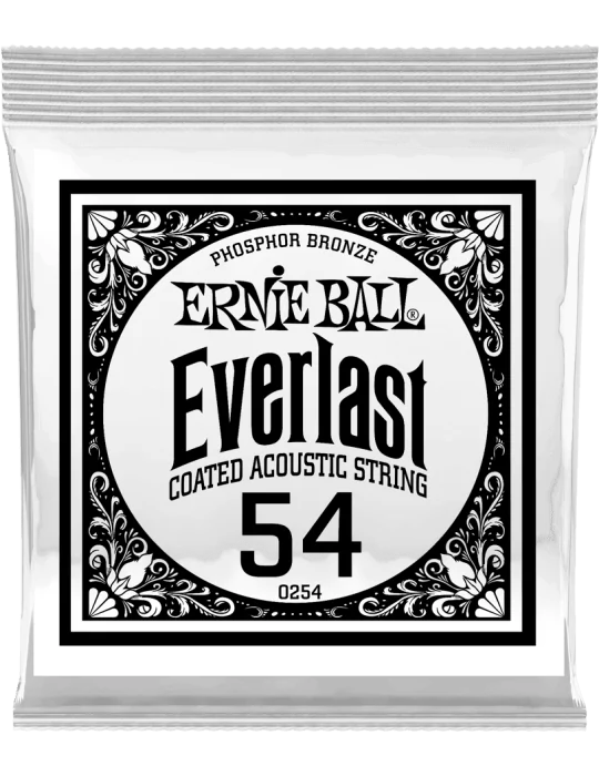 ERNIE BALL 10254 | MusicGoodDeal