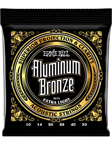 ERNIE BALL 2570 | MusicGoodDeal