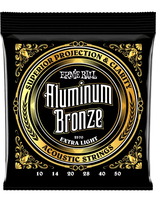 ERNIE BALL 2570 | MusicGoodDeal