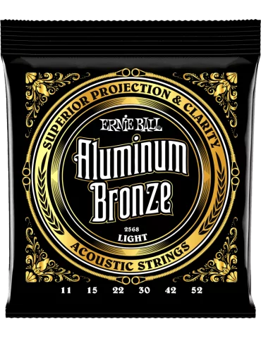 ERNIE BALL 2568 | MusicGoodDeal
