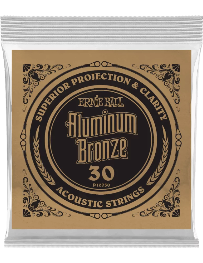 ERNIE BALL 10730 | MusicGoodDeal