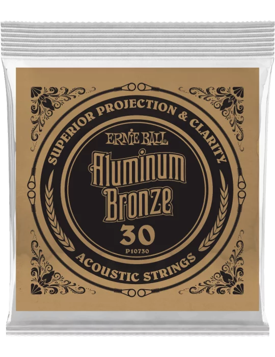 ERNIE BALL 10730 | MusicGoodDeal
