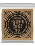ERNIE BALL 10730 | MusicGoodDeal
