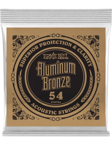 ERNIE BALL 10754 | MusicGoodDeal