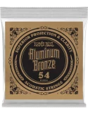 ERNIE BALL 10754 | MusicGoodDeal