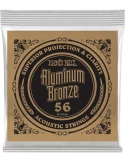 ERNIE BALL 10756 | MusicGoodDeal
