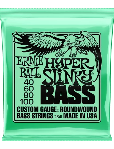 ERNIE BALL 2841 | MusicGoodDeal