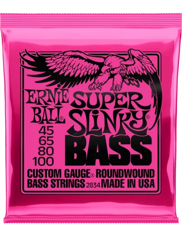 ERNIE BALL 2834 | MusicGoodDeal