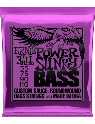 ERNIE BALL 2831 | MusicGoodDeal