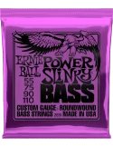ERNIE BALL 2831 | MusicGoodDeal