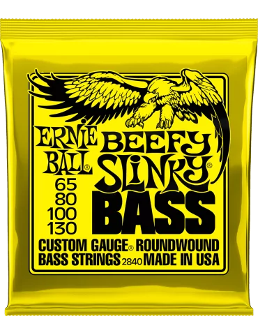 ERNIE BALL 2840 | MusicGoodDeal
