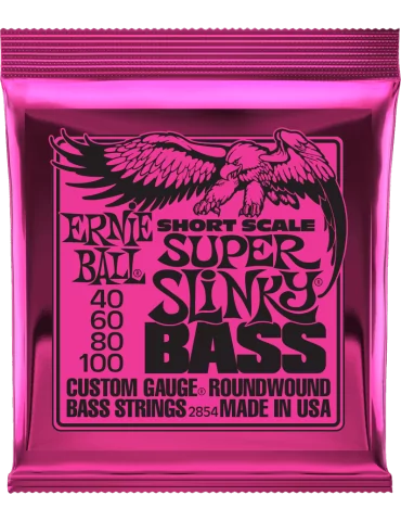 ERNIE BALL 2854 | MusicGoodDeal