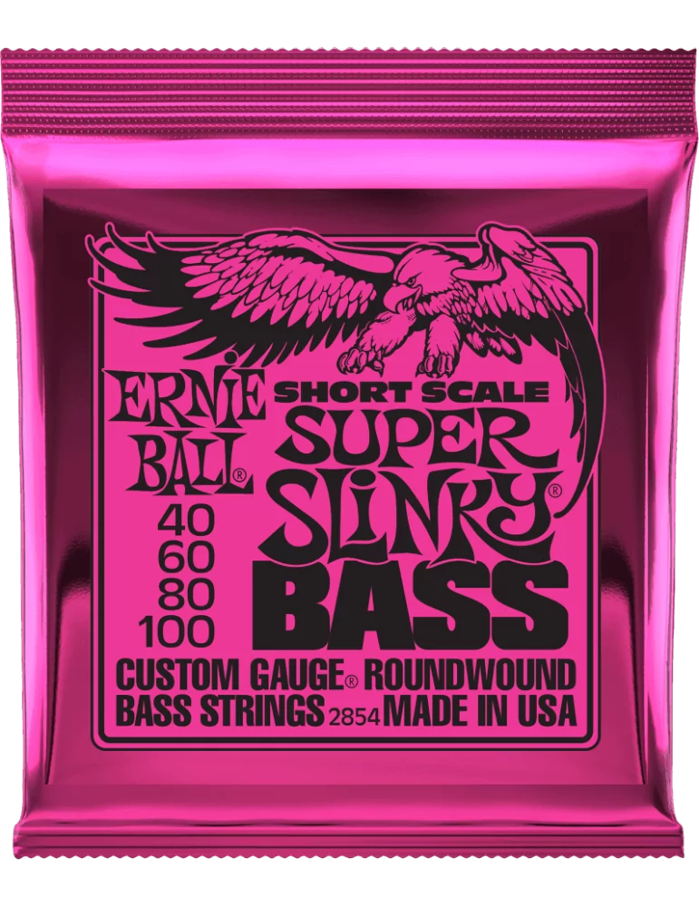 ERNIE BALL 2854 | MusicGoodDeal