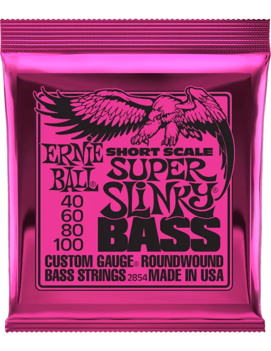 ERNIE BALL 2854 | MusicGoodDeal