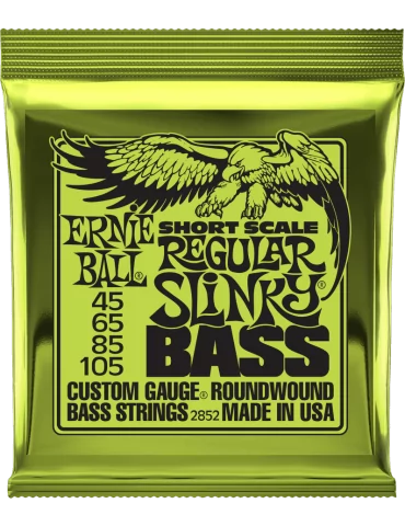 ERNIE BALL 2852 | MusicGoodDeal