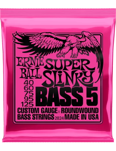 ERNIE BALL 2824 | MusicGoodDeal