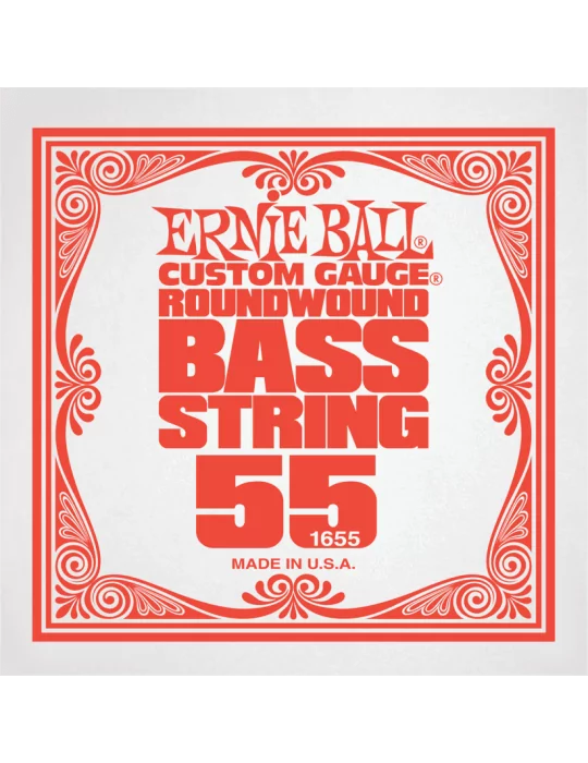 ERNIE BALL 1655 | MusicGoodDeal