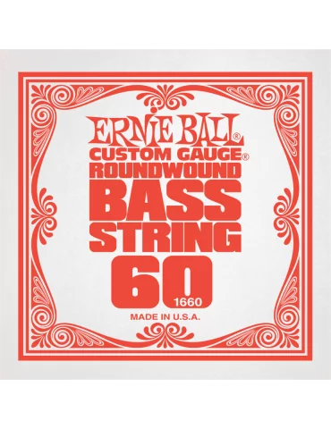 ERNIE BALL 1660 | MusicGoodDeal