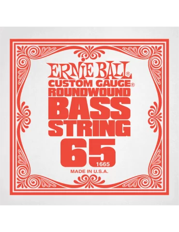 ERNIE BALL 1665 | MusicGoodDeal